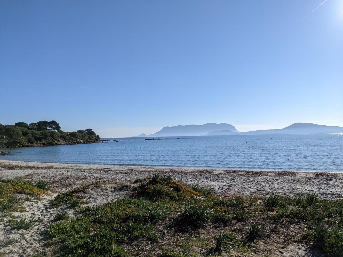 Mariposa Διαμέρισμα Όλμπια Εξωτερικό φωτογραφία